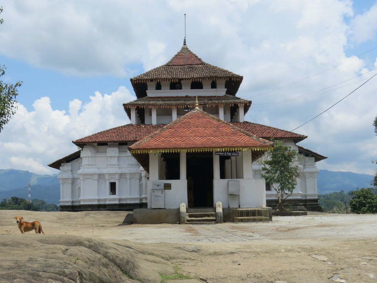 2014 Sri Lanka - 78 van 144