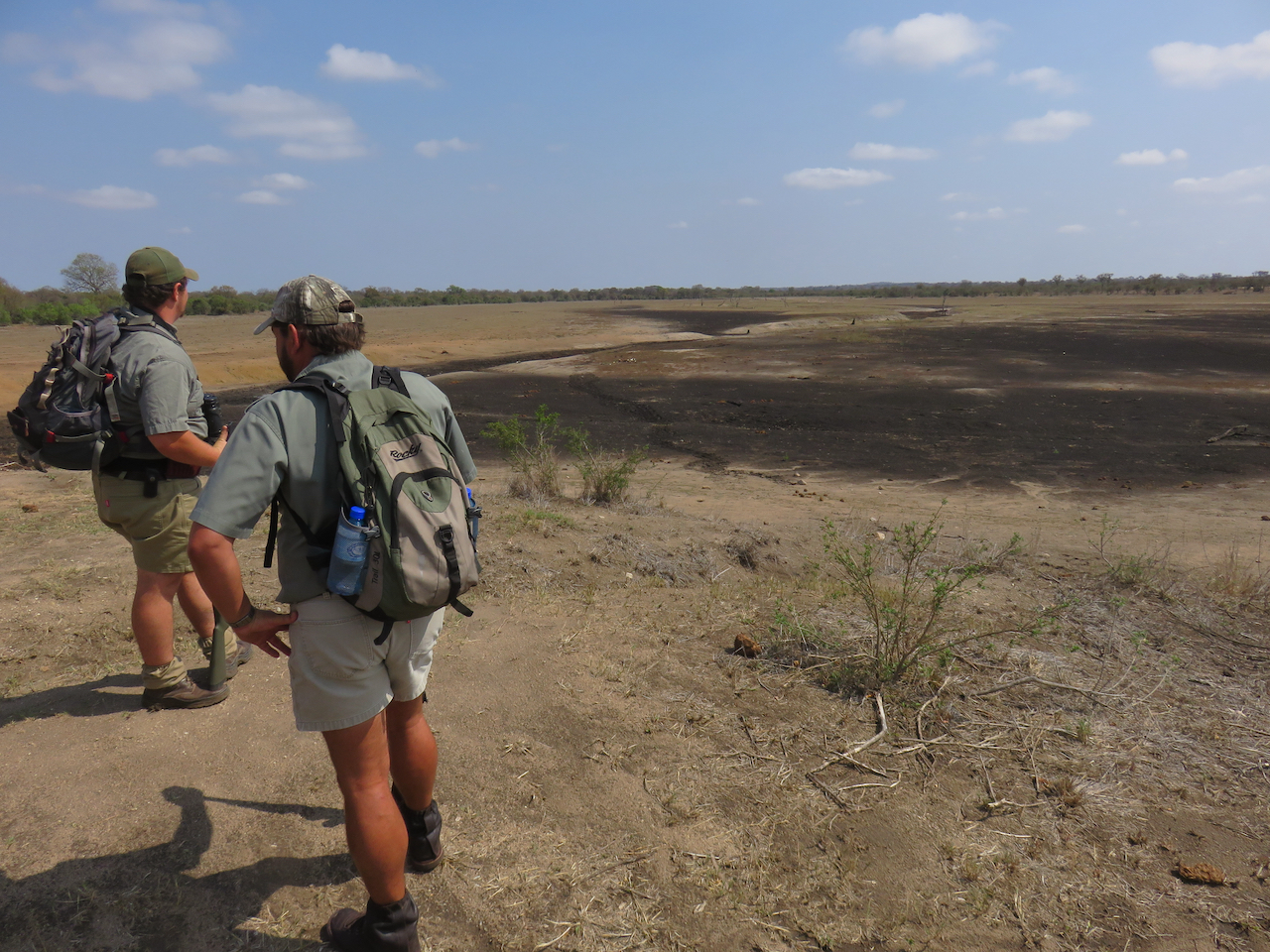 2016 Zuid Afrika (selectie) - 13 van 66