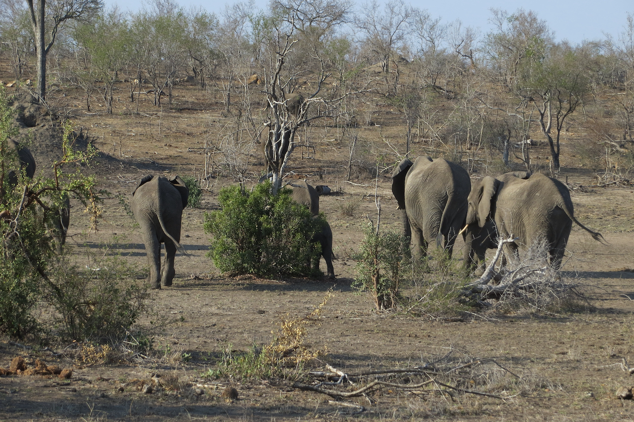 2016 Zuid Afrika (selectie) - 17 van 66