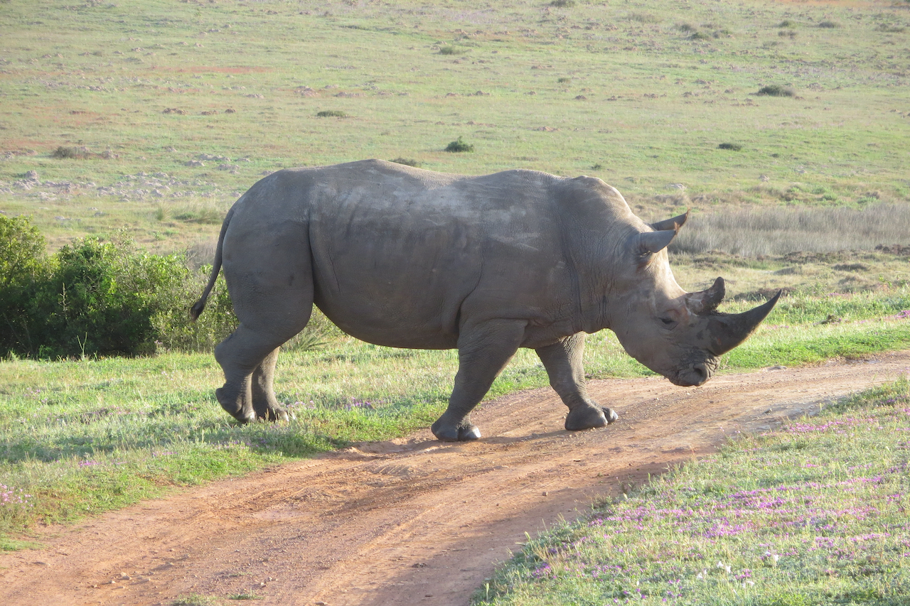 2016 Zuid Afrika (selectie) - 39 van 66